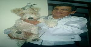 Cachorro1 61 años Soy de Lima/Lima, Busco Encuentros Amistad con Mujer